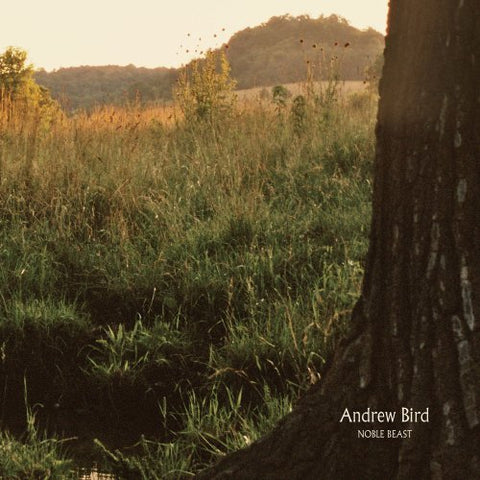BIRD,ANDREW - NOBLE BEAST ((Vinyl))