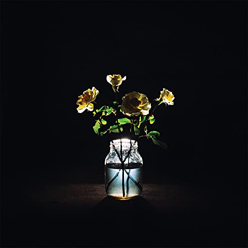 Billy Strings - Renewal [2 LP] ((Vinyl))