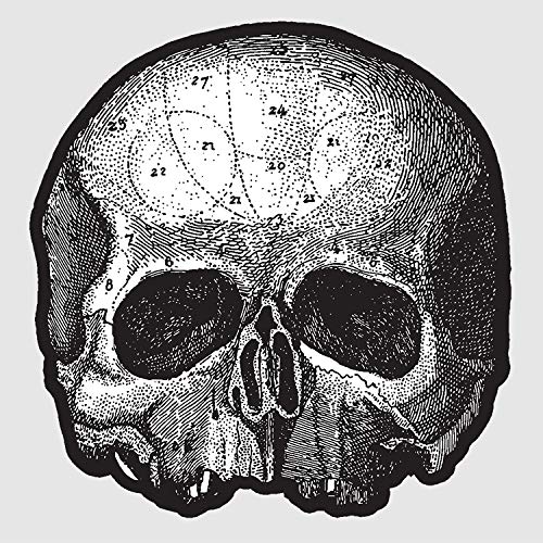 Black Label Society - Black Pearl 10” (Die Cut Skull Pic Disc) ((Vinyl))