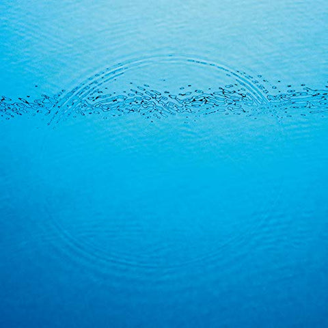 Caribou - Suddenly ((Vinyl))