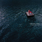 Dar Williams - I'll Meet You Here ((Vinyl))
