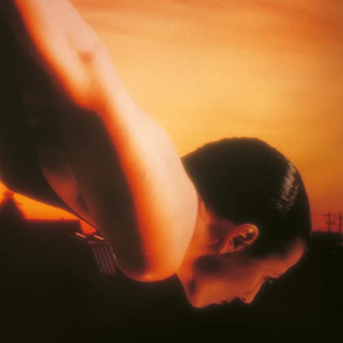 PORCUPINE TREE - ON THE SUNDAY OF LIFE ((Vinyl))