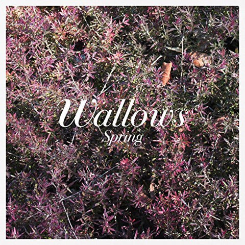 Wallows - Spring (())