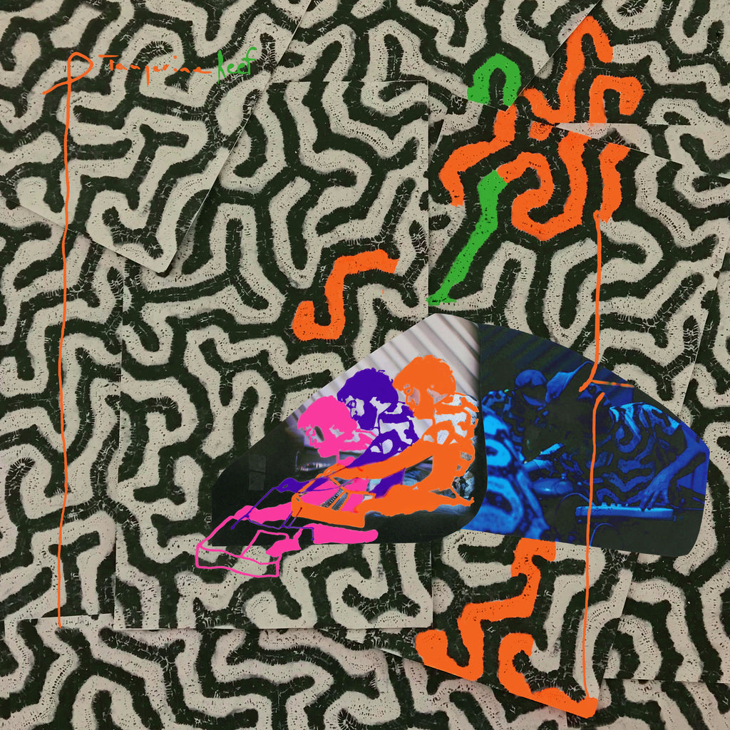 Animal Collective - Tangerine Reef ((Rock))