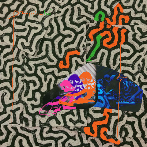 Animal Collective - Tangerine Reef ((Rock))