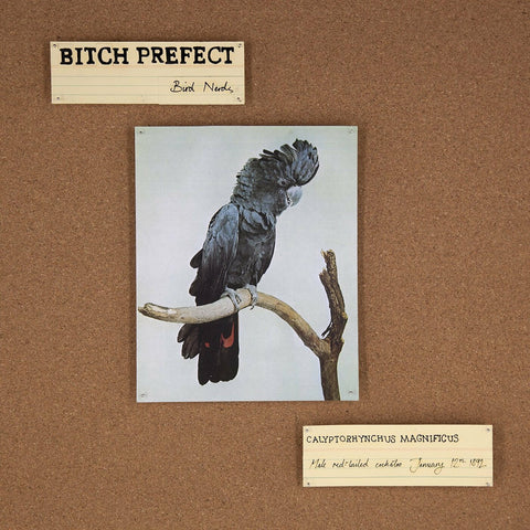 Bitch Prefect - Bird Nerds ((CD))