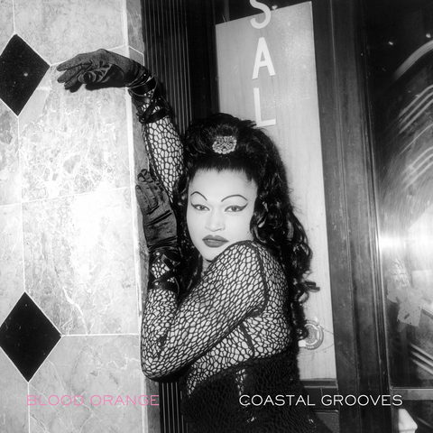 Blood Orange - Coastal Grooves ((CD))