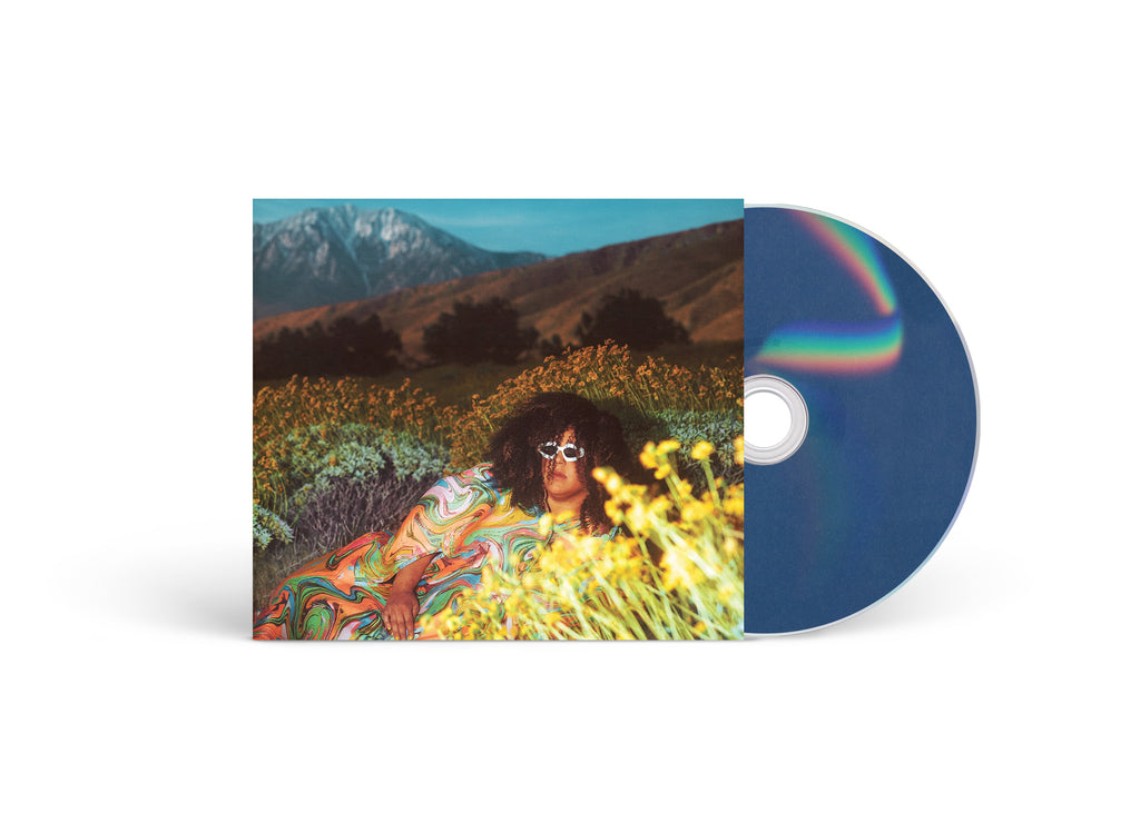 Brittany Howard - What Now ((CD))