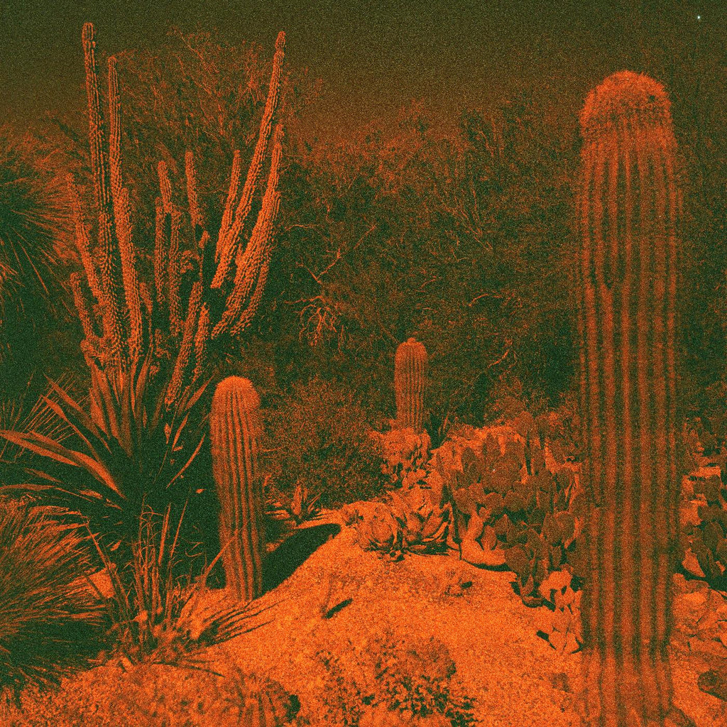 Cameron & Eli Winter Knowler - Anticipation (Indie Exclusive Purple Vinyl) ((Vinyl))