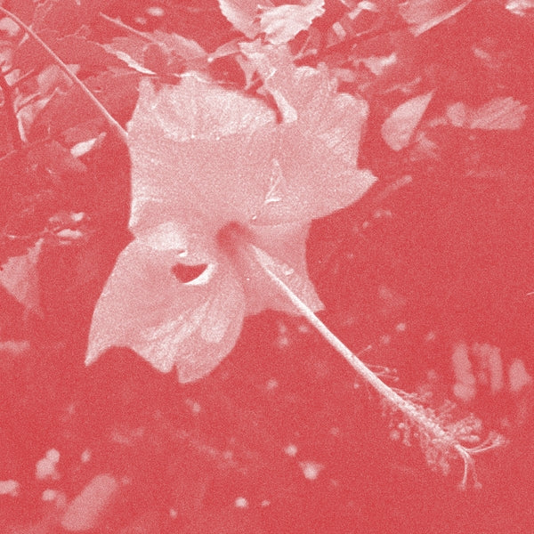 CELER - Poulaine [CD] ((CD))