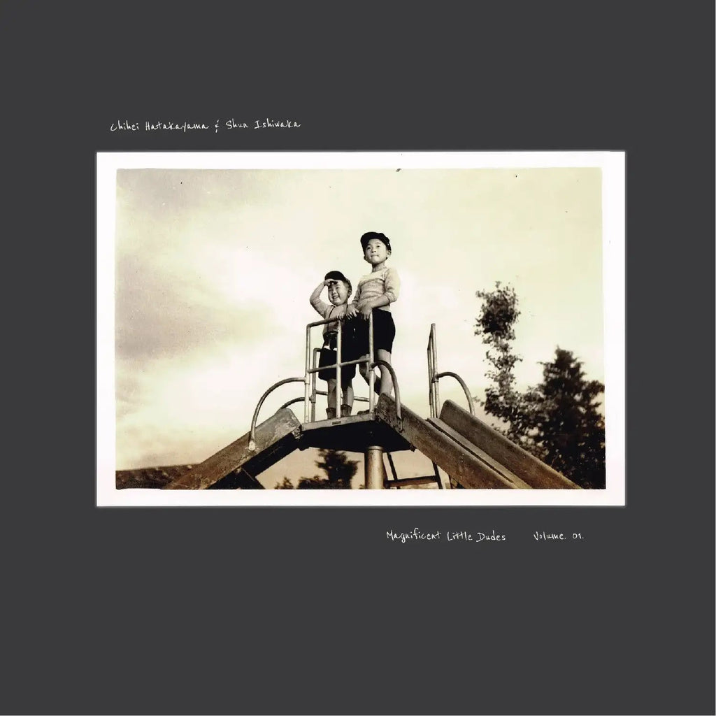 Chihei Hatakeyama & Shun Ishiwaka - Magnificent Little Dudes Vol.1 ((Vinyl))