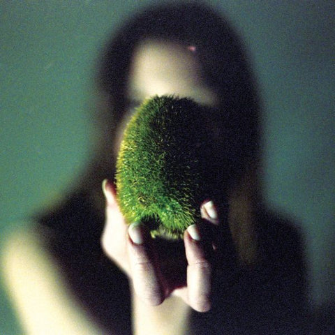 Circuit Des Yeux - In Plain Speech ((Vinyl))
