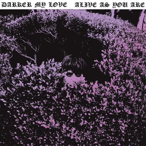 Darker My Love - Alive As You Are ((CD))
