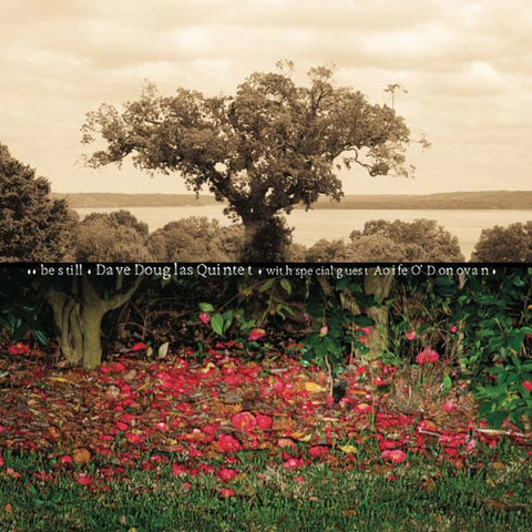 Dave Quintet Douglas - Be Still ((Vinyl))