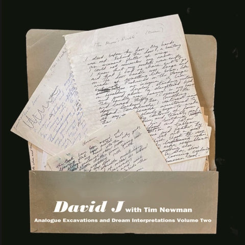 DAVID J WITH TIM NEWMAN - Analogue Excavations & Dream Interpretations Vol.2 ((Vinyl))