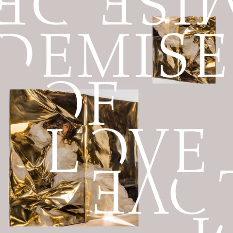 Demise Of Love - Demise Of Love ((Vinyl))