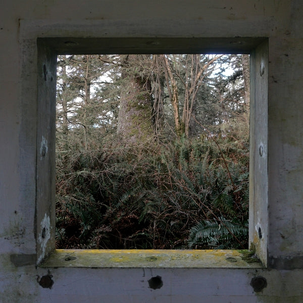 DEREK HUNTER WILSON - ScuLPtures [LP] ((Vinyl))