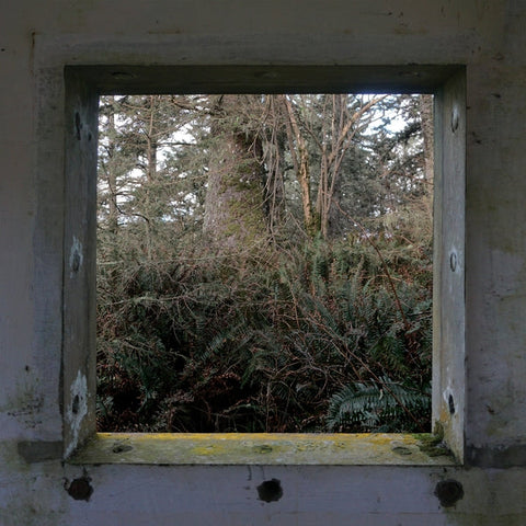 DEREK HUNTER WILSON - ScuLPtures [LP] ((Vinyl))