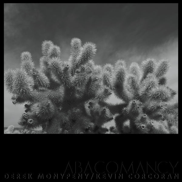 Derek Monypeny And Kevin Corcoran - Abacomancy [LP] ((Vinyl))