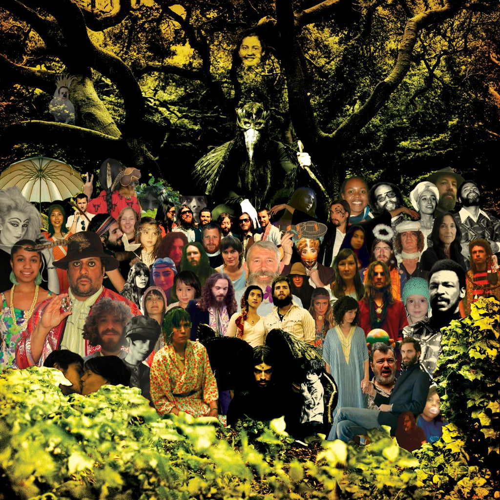 Devendra Banhart - Cripple Crow ((Vinyl))