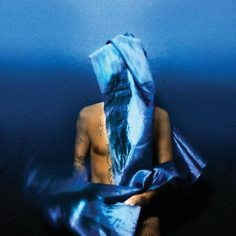 Devendra Banhart - Flying Wig ((CD))