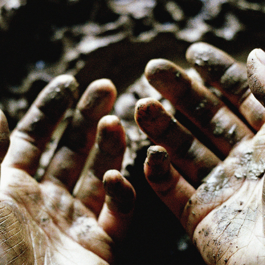 Dis Fig - What To Make Of These Mortal Hands ((CD))