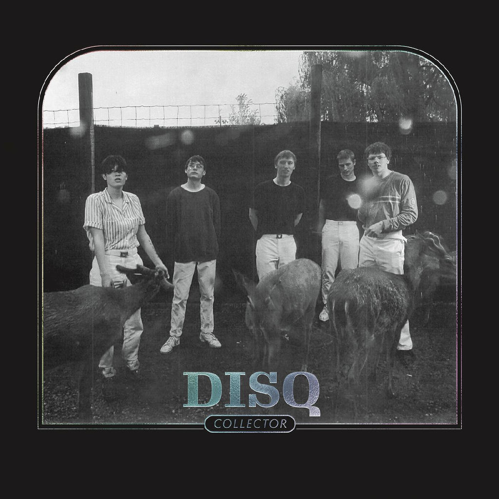 Disq - Collector ((CD))