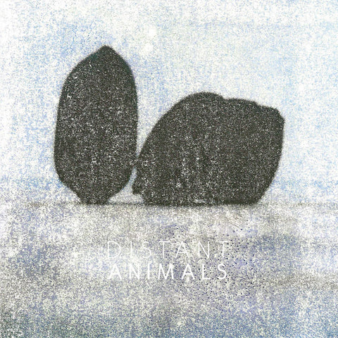DISTANT ANIMALS - Lines ((Vinyl))