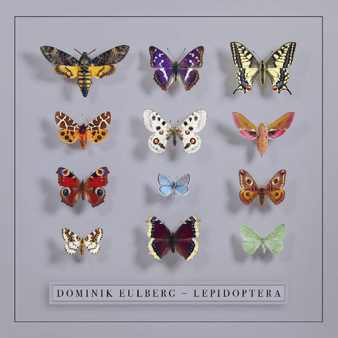 Dominik Eulberg - Lepidoptera ((Vinyl))