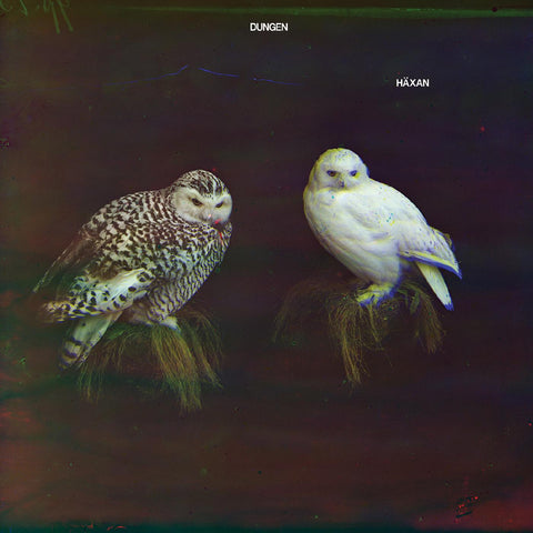 Dungen - H√§xan ((CD))