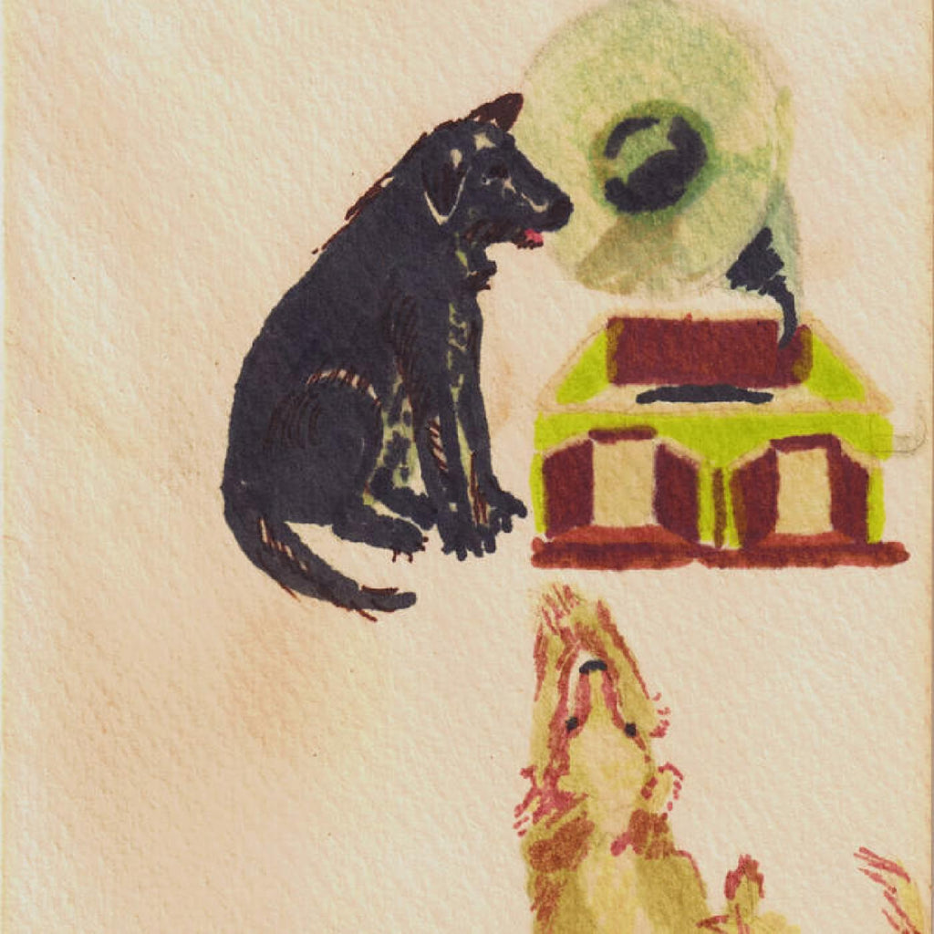 Dwaal Troupe - Lucky Dog ((Vinyl))