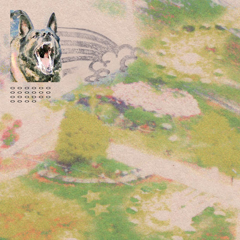 feeble little horse - Girl with Fish ((Cassette))