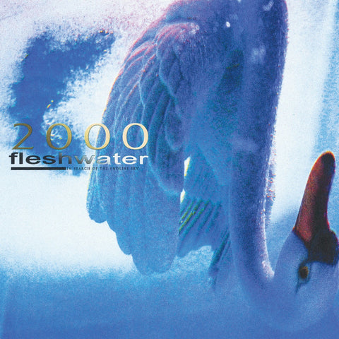 Fleshwater - 2000: In Search Of The Endless Sky (Indie Exclusive Fluorescent Pink Vinyl) ((Vinyl))