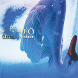 Fleshwater - 2000: In Search Of The Endless Sky ((CD))