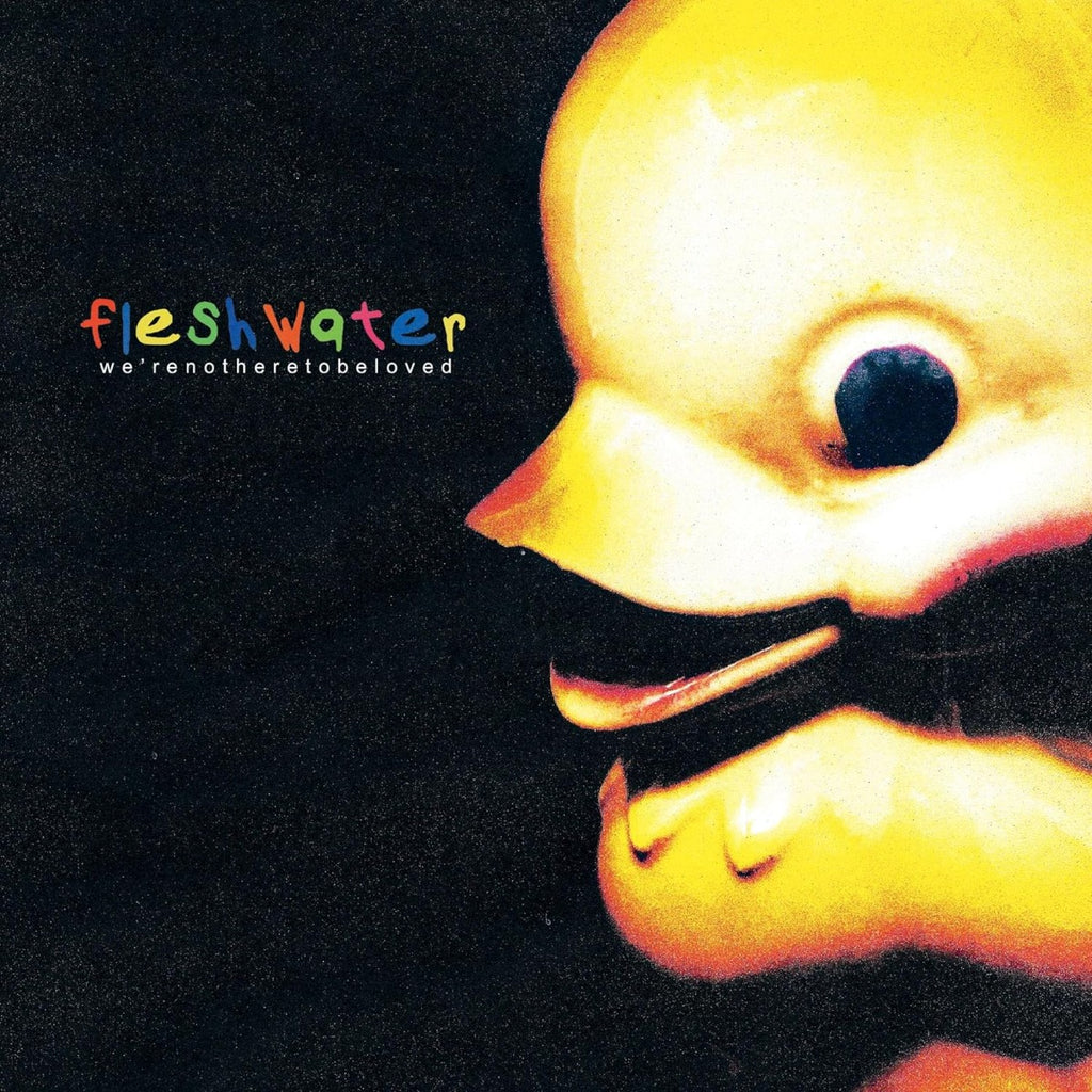 Fleshwater - We're Not Here To Be Loved ((CD))