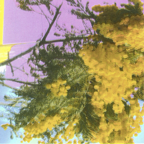 Four Tet - Into Dust (Still Falling) (Indie Exclusive) ((Vinyl))