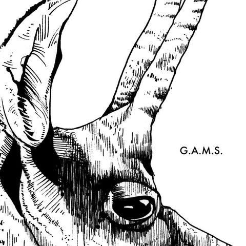 G.A.M.S. - G.A.M.S. ((Vinyl))