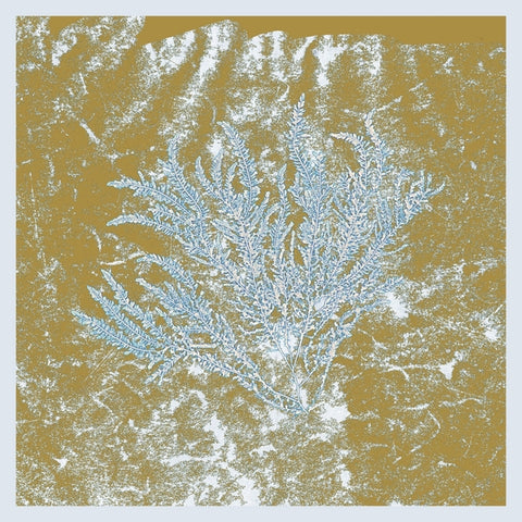 Huerco S. - For Those Of You Who Have Never (And Also Those Who Have) ((Vinyl))