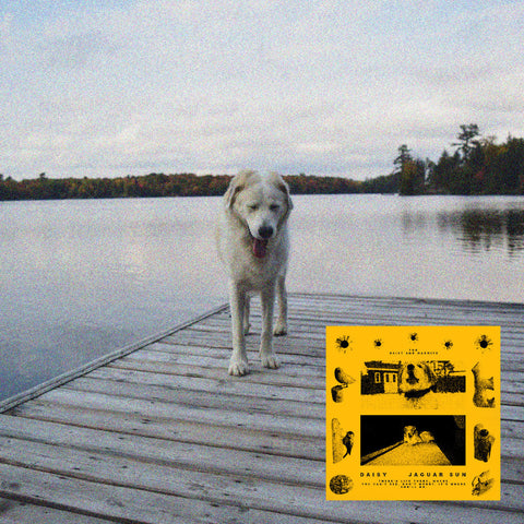 Jaguar Sun - Daisy (Black And Yellow Swirl Vinyl) ((Vinyl))