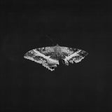 Kendrick Lamar - To Pimp A Butterfly (10 Year Anniversary Edition) - Alternate Artwork (Black marble Vinyl) (2 Lp's) ((Vinyl))
