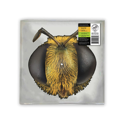 King Gizzard & The Lizard Wizard - Big Fig Wasp (Bee/Bug Shaped Vinyl) ((Vinyl))