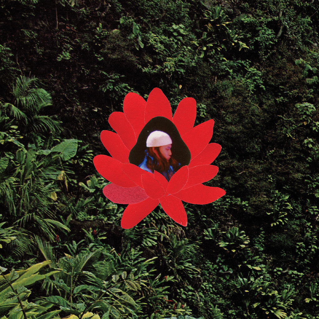 Lionmilk - When The Flowers Bloom ((Vinyl))