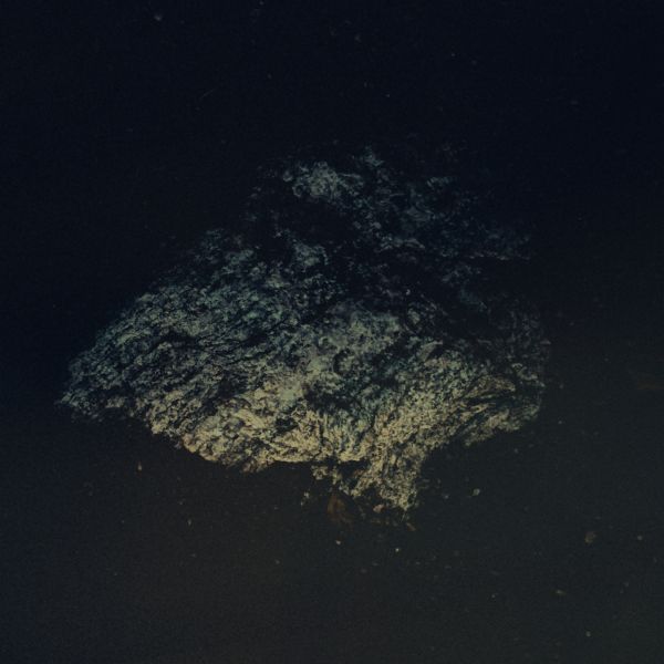 Multicast Dynamics - Lost World ((Vinyl))