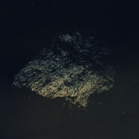 Multicast Dynamics - Lost World ((Vinyl))