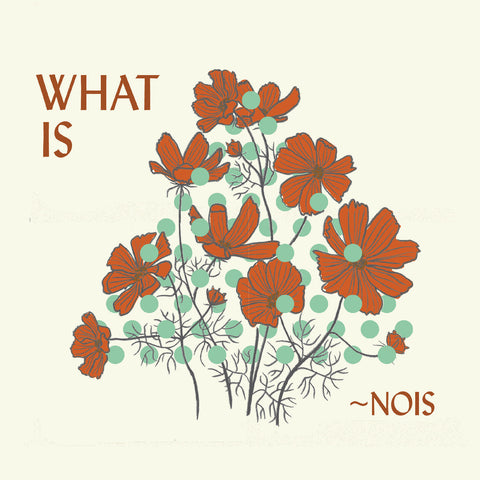 ~Nois - What Is ~Nois? ((CD))