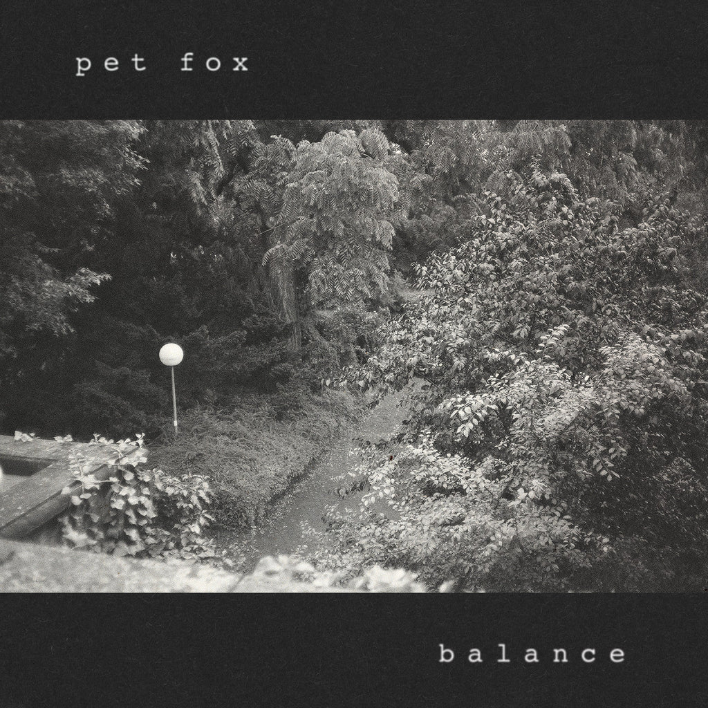 Pet Fox - Balance (Cobweb Colored Vinyl) ((Vinyl))