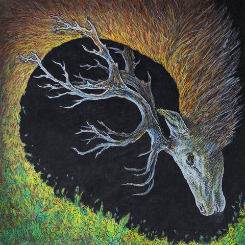 Petrels - Infangthief ((CD))