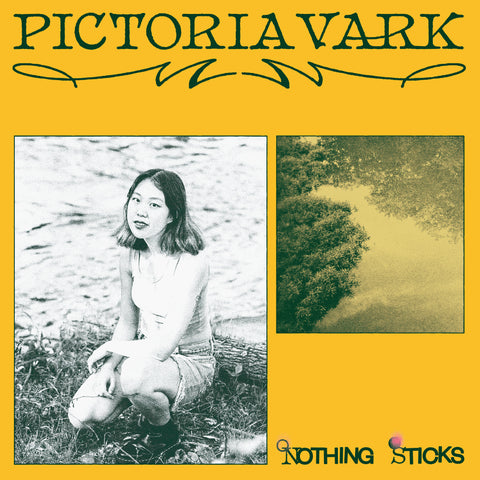 Pictoria Vark - Nothing Sticks ((Vinyl))