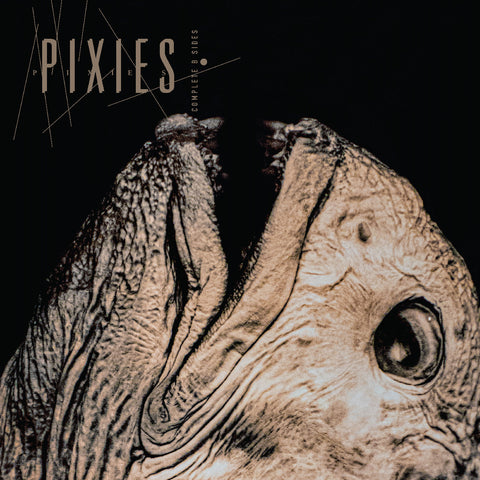 Pixies - Complete B Sides: 1988-97 (Indie Exclusive, Clear Vinyl) ((Vinyl))