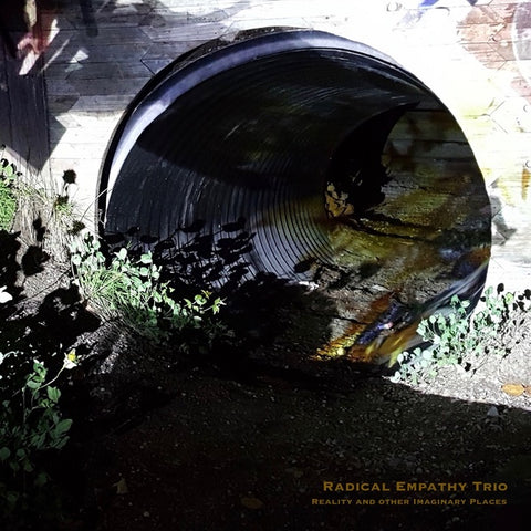 RADICAL EMPATHY TRIO - Reality And Other Imaginary Places ((Vinyl))